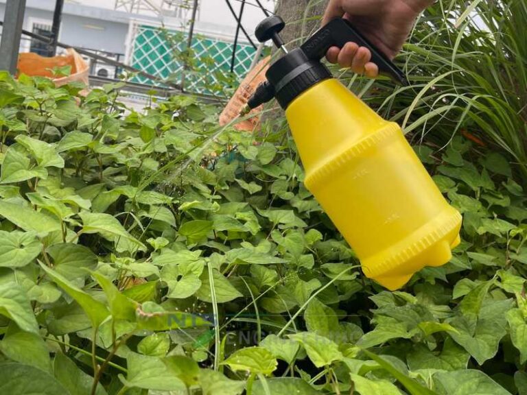 Hướng dẫn cách tưới nước cho cây trồng phát triển tốt nhất