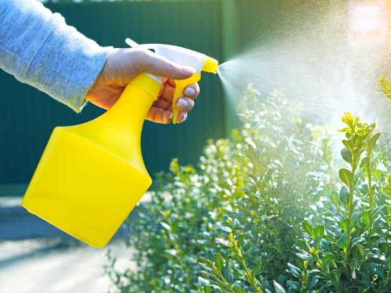 Hướng dẫn cách tưới nước cho cây trồng phát triển tốt nhất