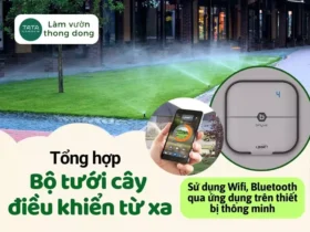Tổng hợp các bộ tưới cây điều khiển từ xa hiện đại và dễ dùng