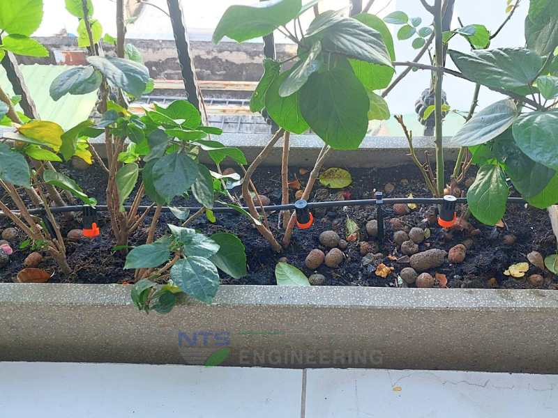 Đầu tưới nhỏ giọt nối tiếp cho bồn cây dạng dãy