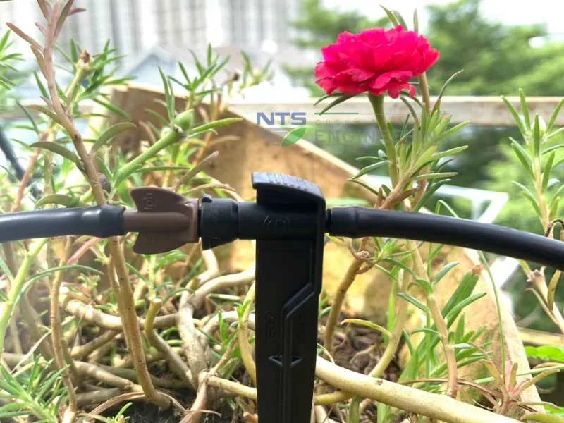 Đầu tưới nhỏ giọt Teco được kết nối vào giữa đoạn ống 6mm