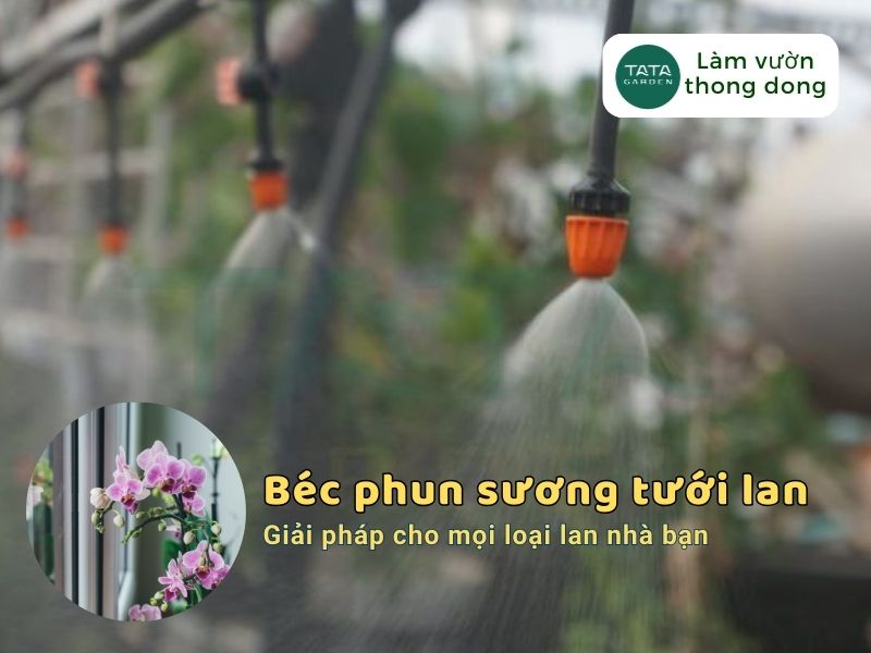 Béc phun sương tưới lan