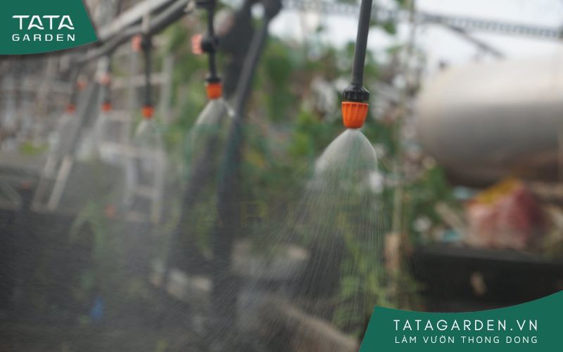 Béc phun sương 91258