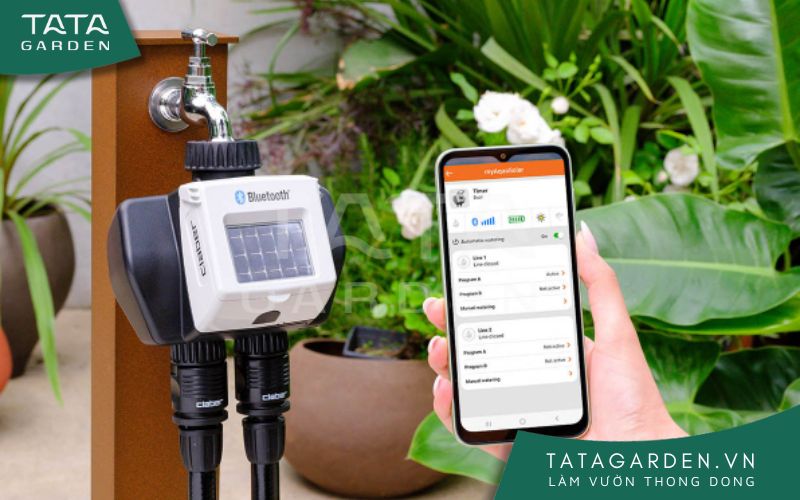 Mẫu timer hẹn giờ dùng pin