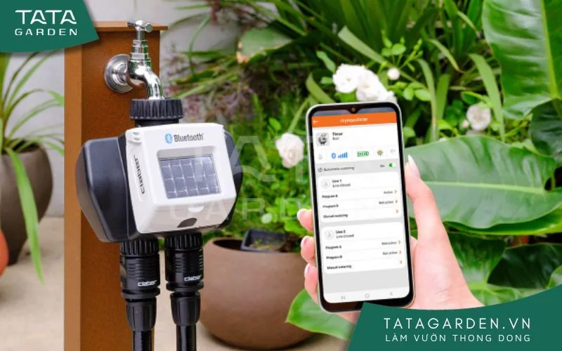 Mẫu timer hẹn giờ dùng pin