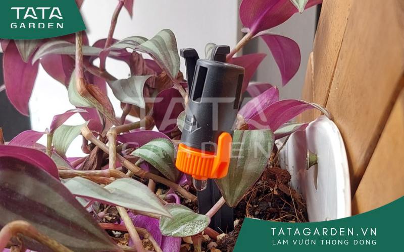 Lựa chọn thiết bị tưới cây phù hợp