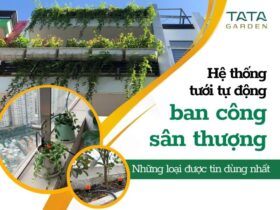 Hệ thống tưới tự động ban công, sân thượng nào được tin dùng nhất hiện nay?