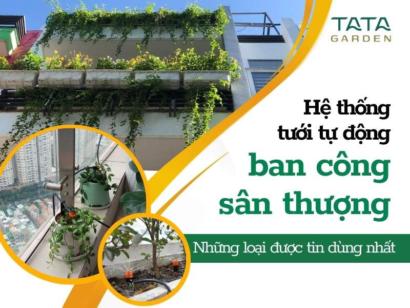 Thumnail hệ thống tưới tự động ban công