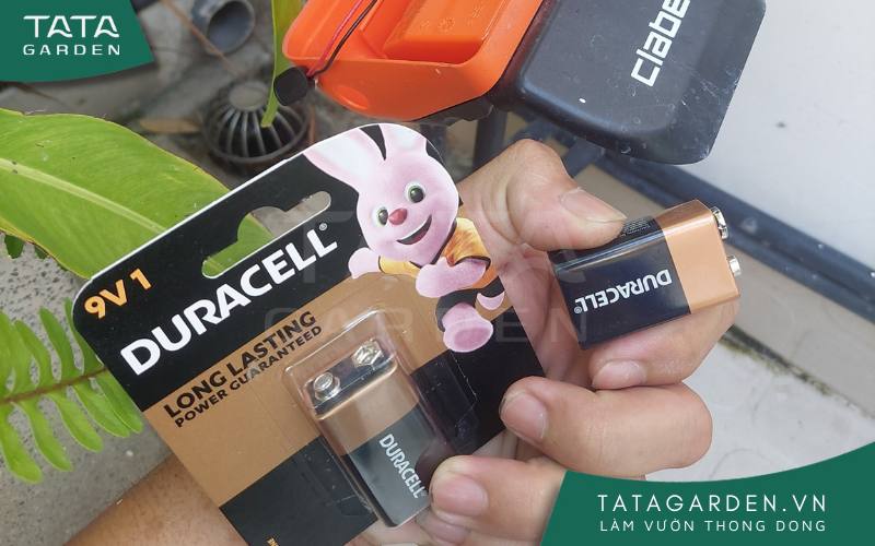 Tiến hành thay pin định kỳ cho cây