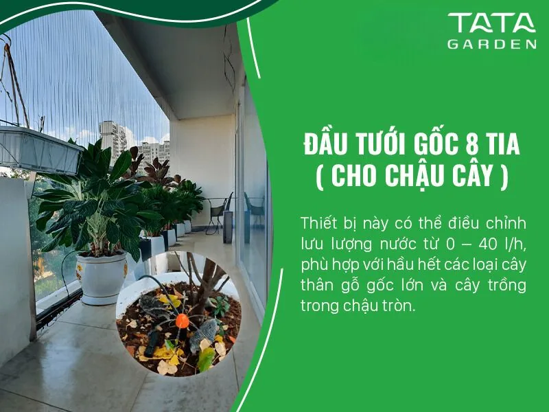 Đầu tưới 8 tia