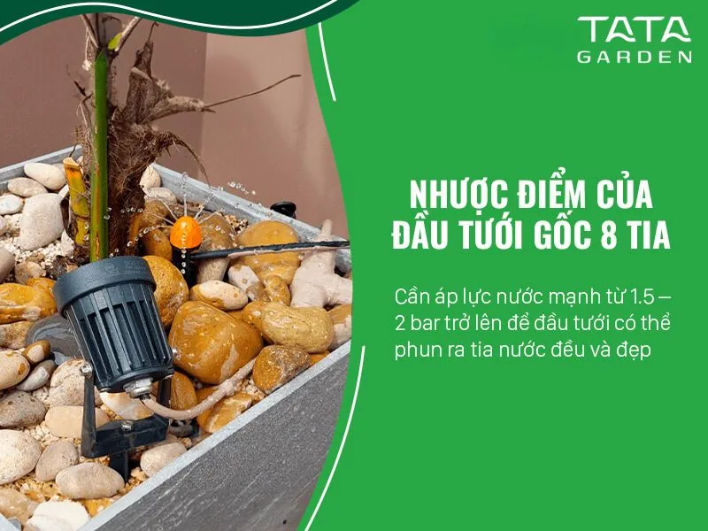 Đầu tưới 8 tia