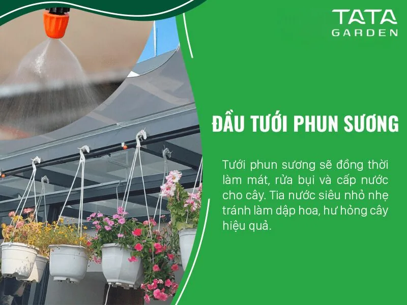 Đầu tưới phun sương