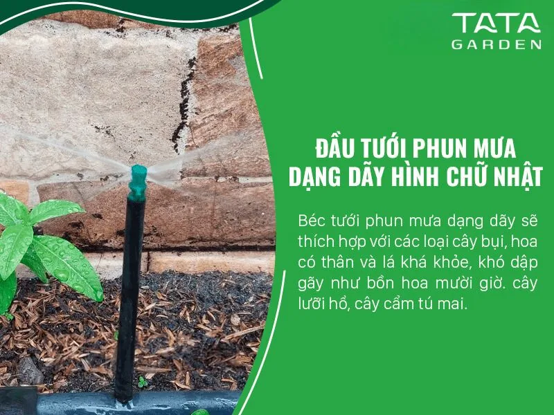 Đầu tưới phun mưa dãy chữ nhật