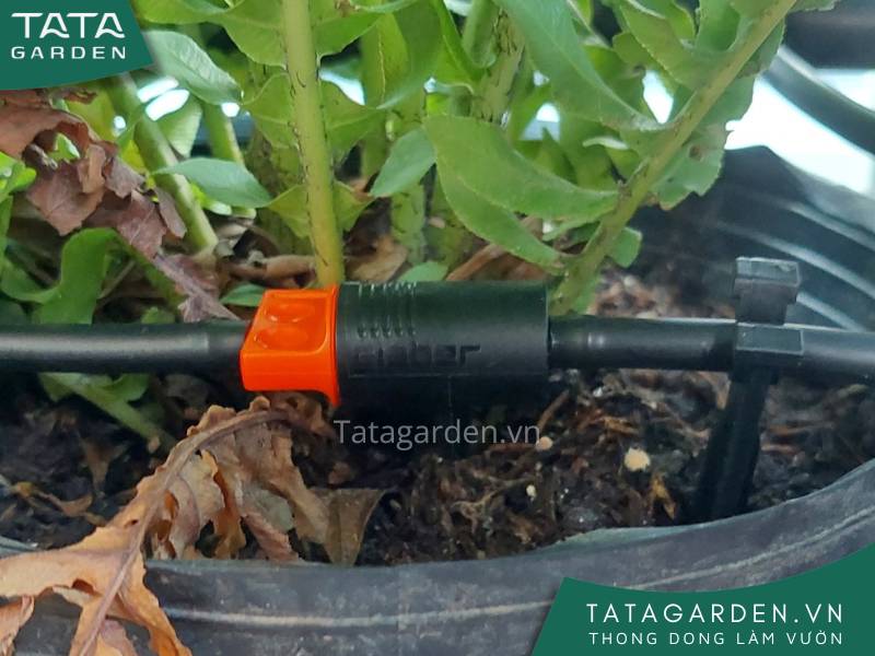 Béc tưới nhỏ giọt trong hệ thống tưới cây tự động