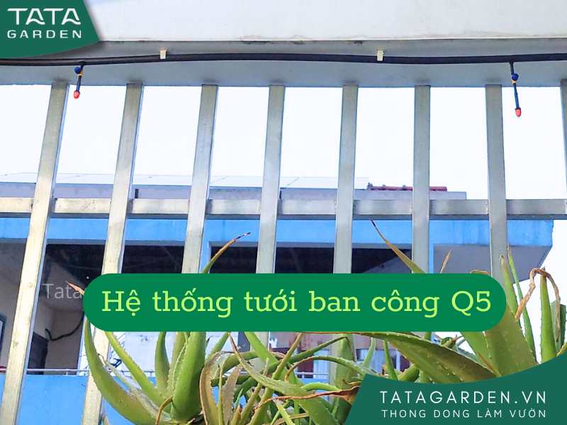 Bìa hệ thống tưới ban công kết hợp nhà khách