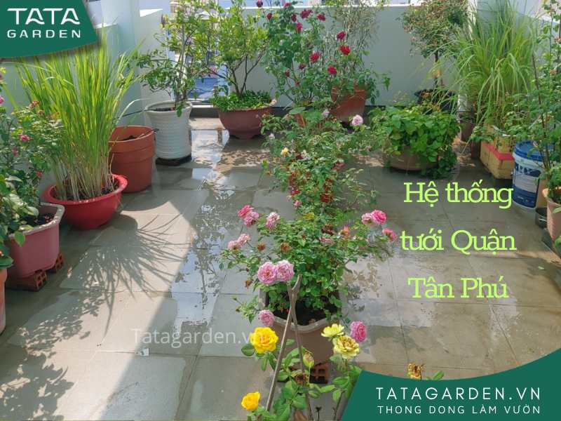 Hệ thống tưới cây tự động quận Tân Phú