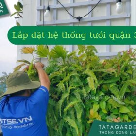 Thi công lắp đặt hệ thống tưới cây tự động quận 3