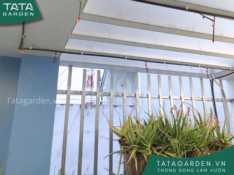 Lắp đặt béc tưới phun sương cho hệ thống tưới ban công