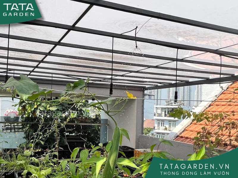 Các béc tưới phun mưa đảo ngược trong hệ thống tưới cây tự động sẽ tưới cho cây từ trên xuống