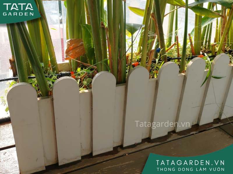 Bồn cây được lắp đặt béc tưới nhỏ giọt