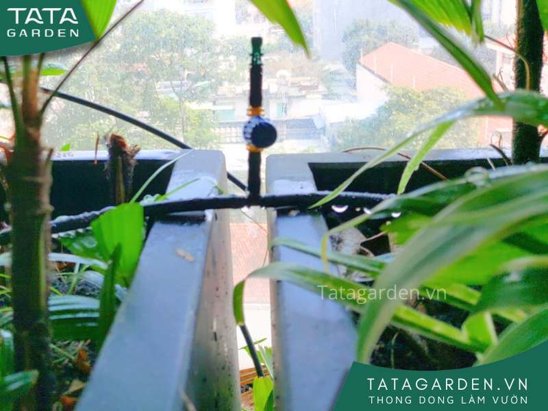 Sử dụng béc tưới phun mưa hình cánh bướm cho bồn cây bụi