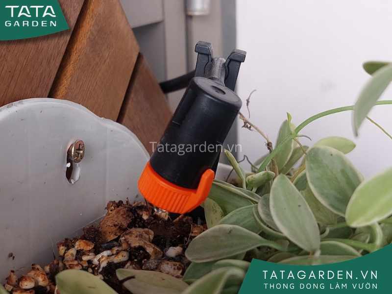 Cận cảnh béc tưới nhỏ giọt trong hệ thống tưới nhỏ giọt ban công chung cư