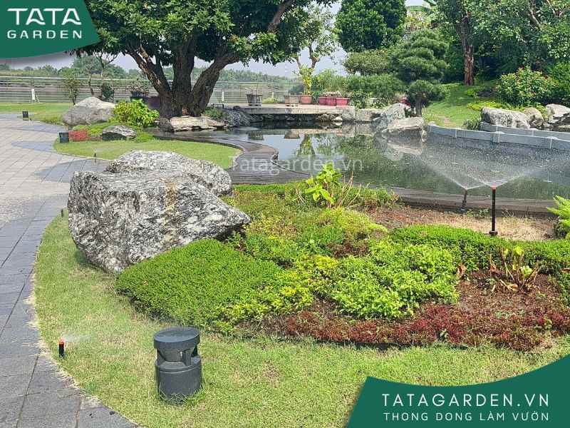 Thi công hệ thống tưới tự động cho cảnh quan sân vườn