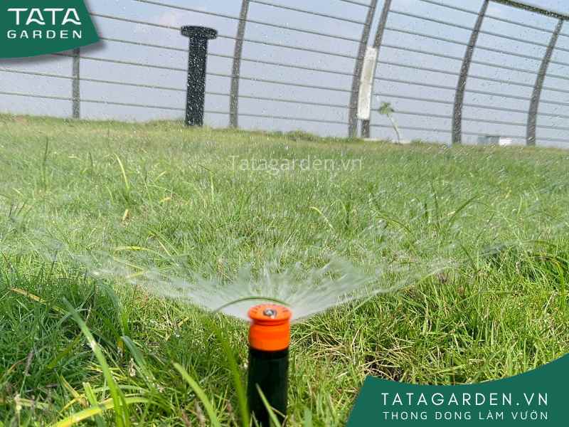 Béc tưới phun mưa popup trong hệ thống tưới cảnh quan
