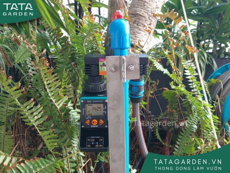 hệ thống tưới cây tự động quận 3 sử dụng timer 8428