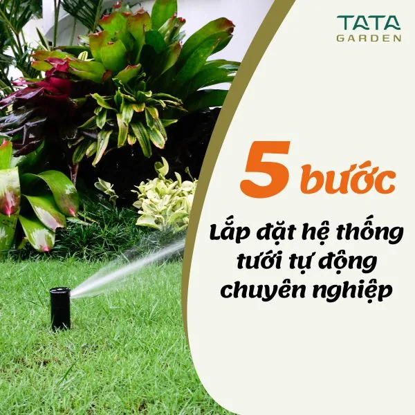 5 bước lắp đặt Hệ thống tưới cây tự động cho VƯỜN Biệt thự/ Nhà phố