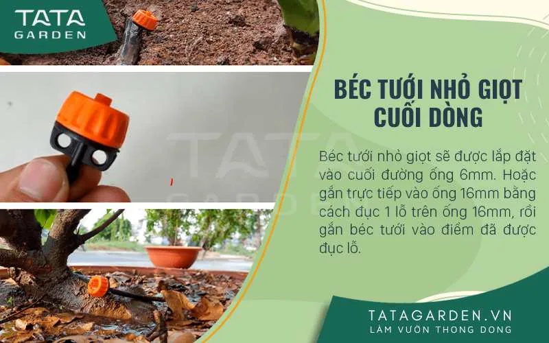 Gắn trực tiếp béc vào ống dẫn chính 16mm hoặc gắn vào cuối dây tưới 6mm