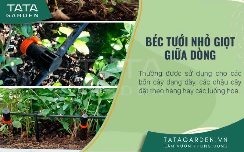 Béc tưới nhỏ giọt được lắp vào giữa dòng hoặc cuối đường ống