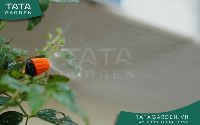 Loại béc tưới phun sương mini, thường được tưới cho cây từ trên cao xuống