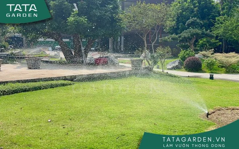 Hệ thống tưới cho vườn biệt thự rực rỡ.