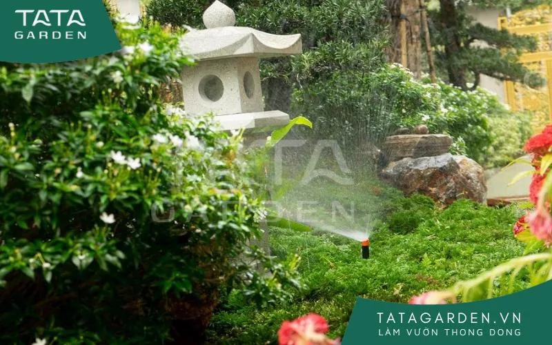Khu vườn có đầu tưới trở nên sinh động hơn.