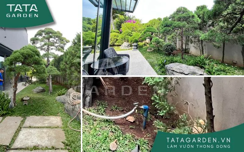 Khảo sát khu vực tưới cây