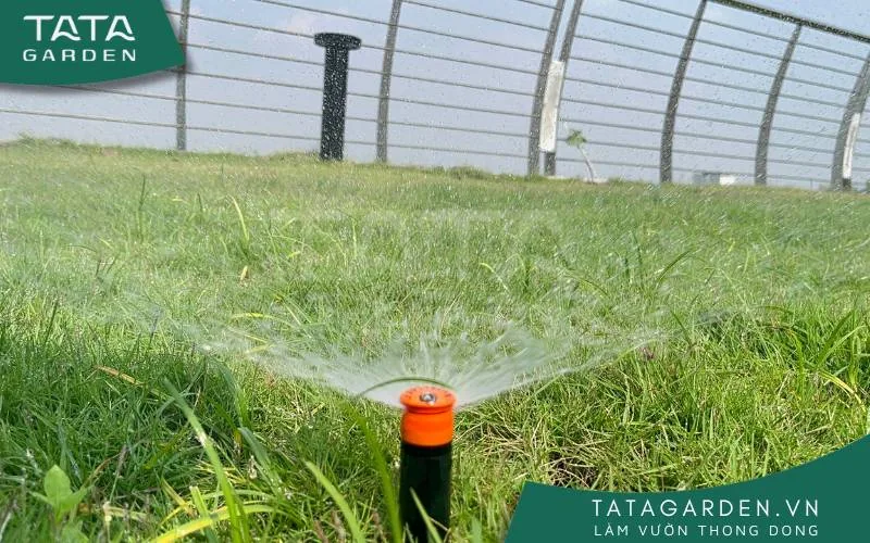 Lắp đặt béc tưới thẳng đứng sẽ giúp tia phun được chính xác
