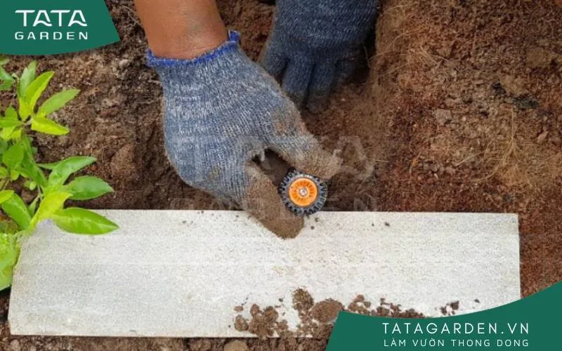 Đặt một tấm ván để giữ cho béc tưới được thẳng. Sau đó lấp đất cẩn thận, không làm đất cát rơi vào đầu béc.