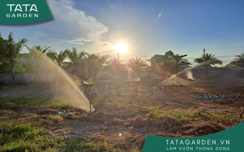 Sân vườn đang trong giai đoạn lắp béc tưới cỏ