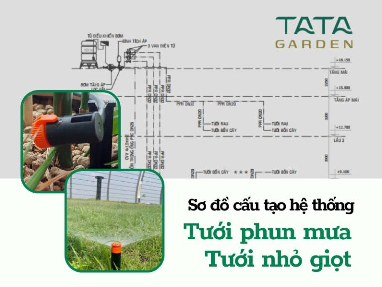 Sơ đồ cấu tạo hệ thống tưới phun mưa và nhỏ giọt đơn giản cho cảnh quan