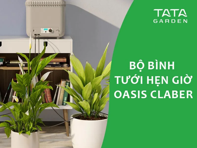 Bộ bình tưới cây hẹn giờ Oasis của Claber