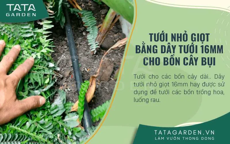 Tưới nhỏ giọt bằng dây tưới 16mm cho bồn cây bụi