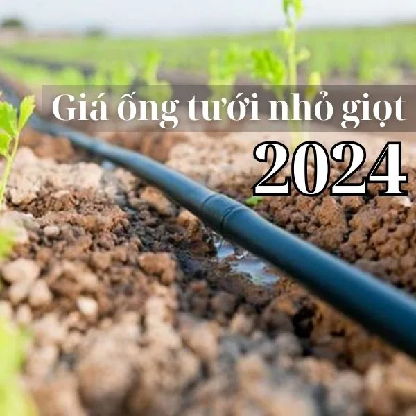 Giá ống tưới nhỏ giọt các loại từ bình dân đến chất lượng cao (Mới nhất 2024)