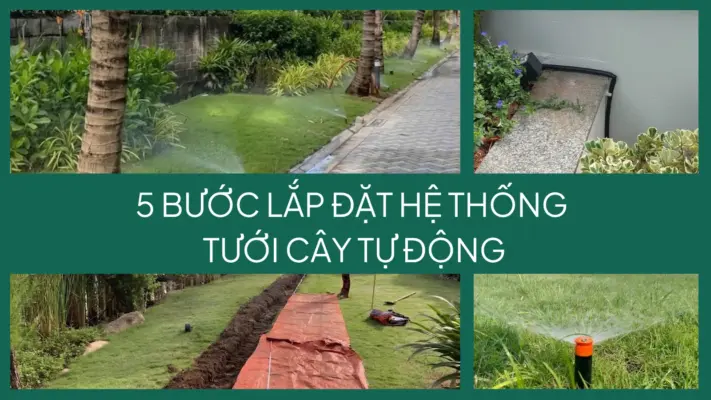 5 bước lắp đặt hệ thống tưới cây tự động