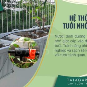 Hệ thống tưới nhỏ giọt – Cập nhật báo giá thiết bị 2026