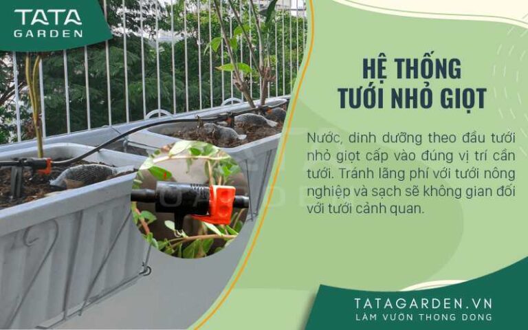 Hệ thống tưới nhỏ giọt – Cập nhật xu hướng và báo giá 2026