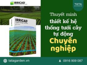 Thuyết minh thiết kế hệ thống tưới cây tự động chuyên nghiệp bằng Irricad