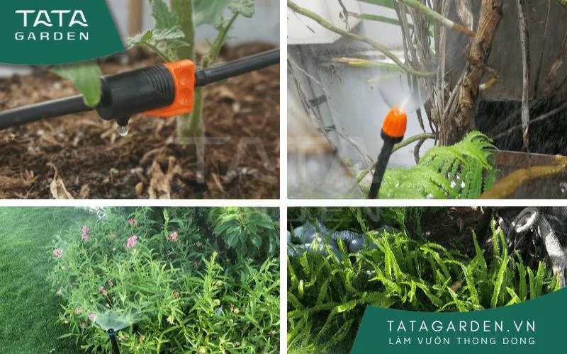 Một vài béc tưới được sử dụng trong hệ thống tưới cây tự động