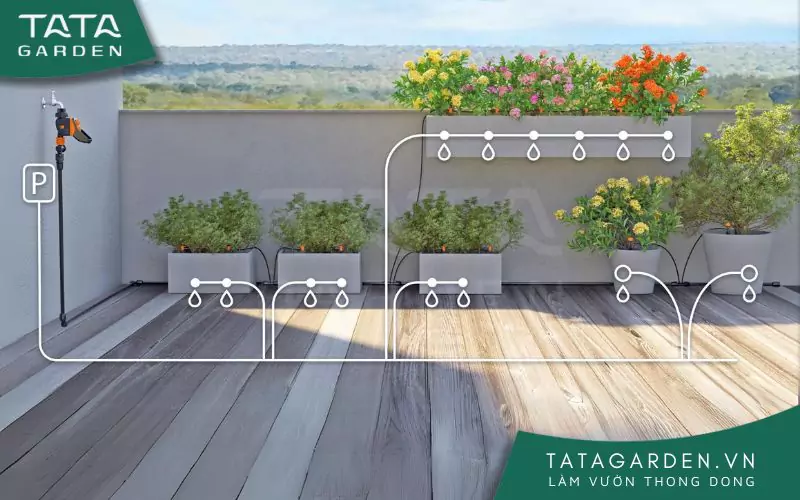 tuoi-nho-giot-cho-ban-cong