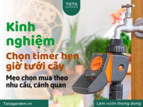 Kinh nghiệm chọn timer hẹn giờ tưới cây cho hệ thống tưới cảnh quan mới nhất
